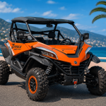 UTV / Buggy 1000cc Rental